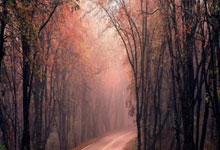 意媒：足协考察欧洲杯场地，尤文主场为当前唯一完全达标球场，尤文足球俱乐部