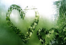 卢旺达国际板球旅游节7月到9月在卢旺达首都基加利举办，卢旺达体育场