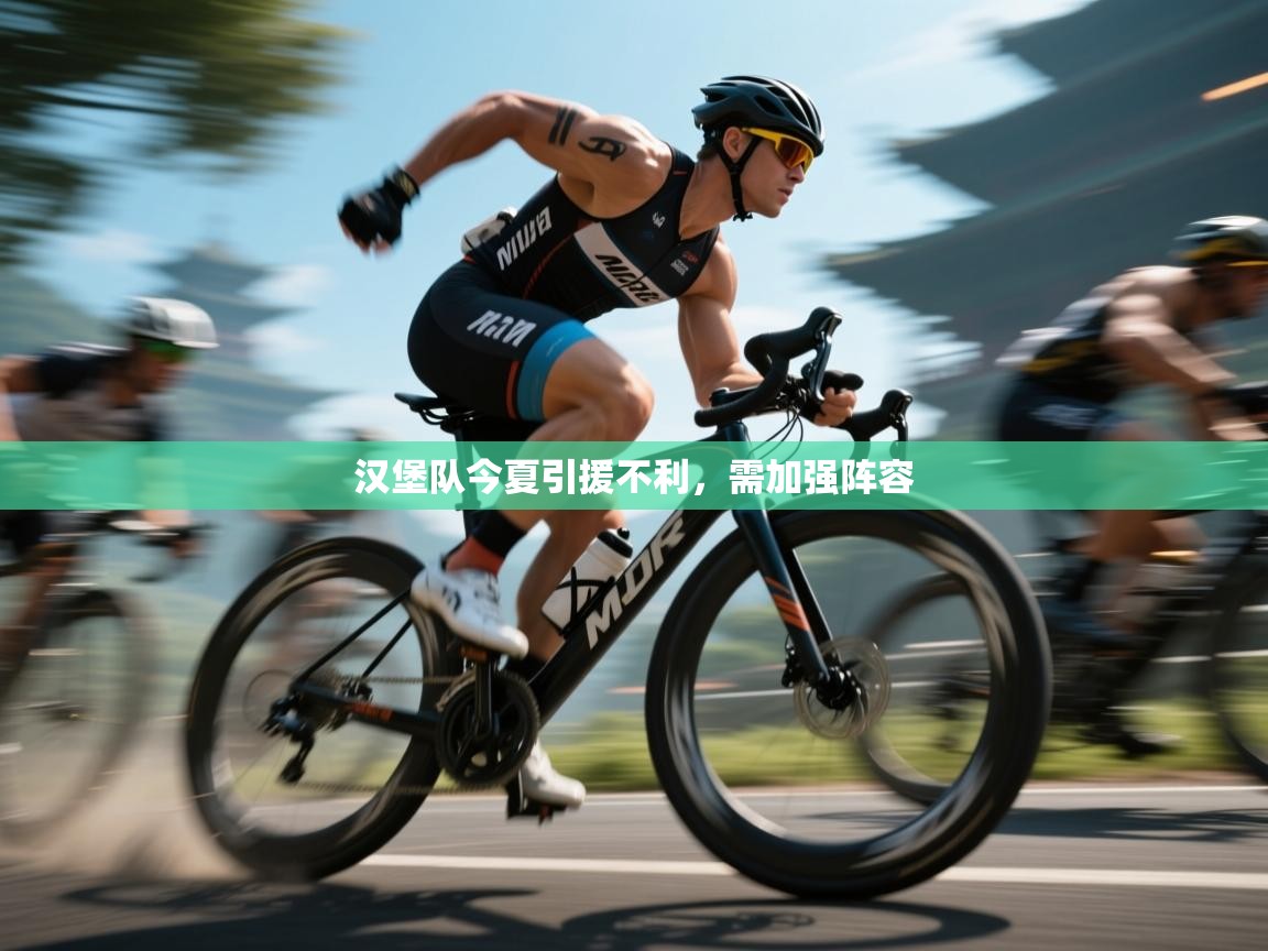 汉堡队今夏引援不利，需加强阵容  第1张