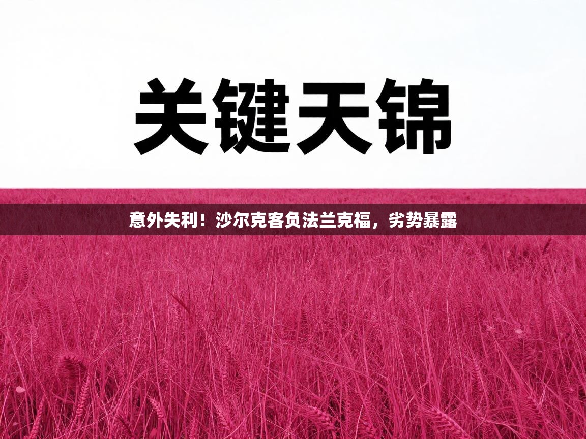 意外失利！沙尔克客负法兰克福，劣势暴露  第2张