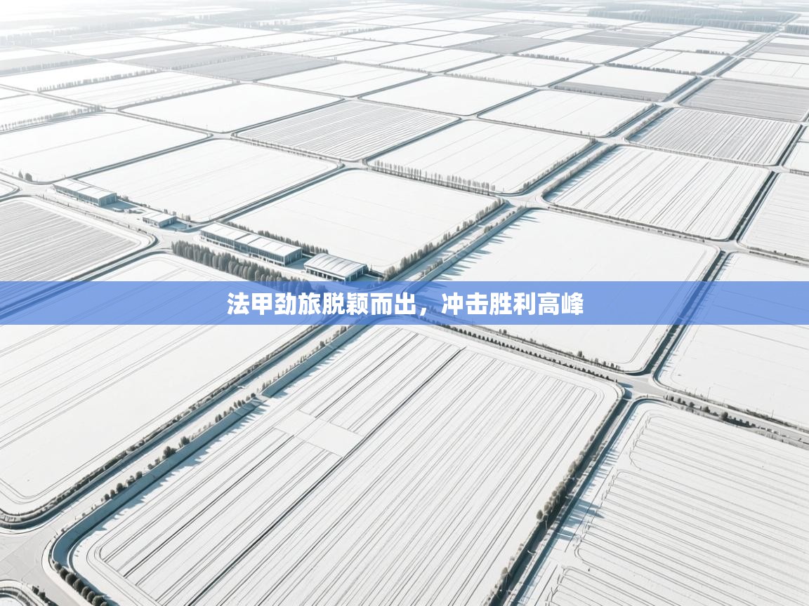 法甲劲旅脱颖而出，冲击胜利高峰  第2张